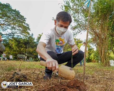 palms and bamboo bataan prices|Bamboo planting launched in Bataan .